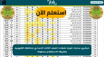 «بشرى سارة» نتيجة شهادة الصف الثالث الاعدادي محافظة القليوبية وطريقة الاستعلام بسهولة
